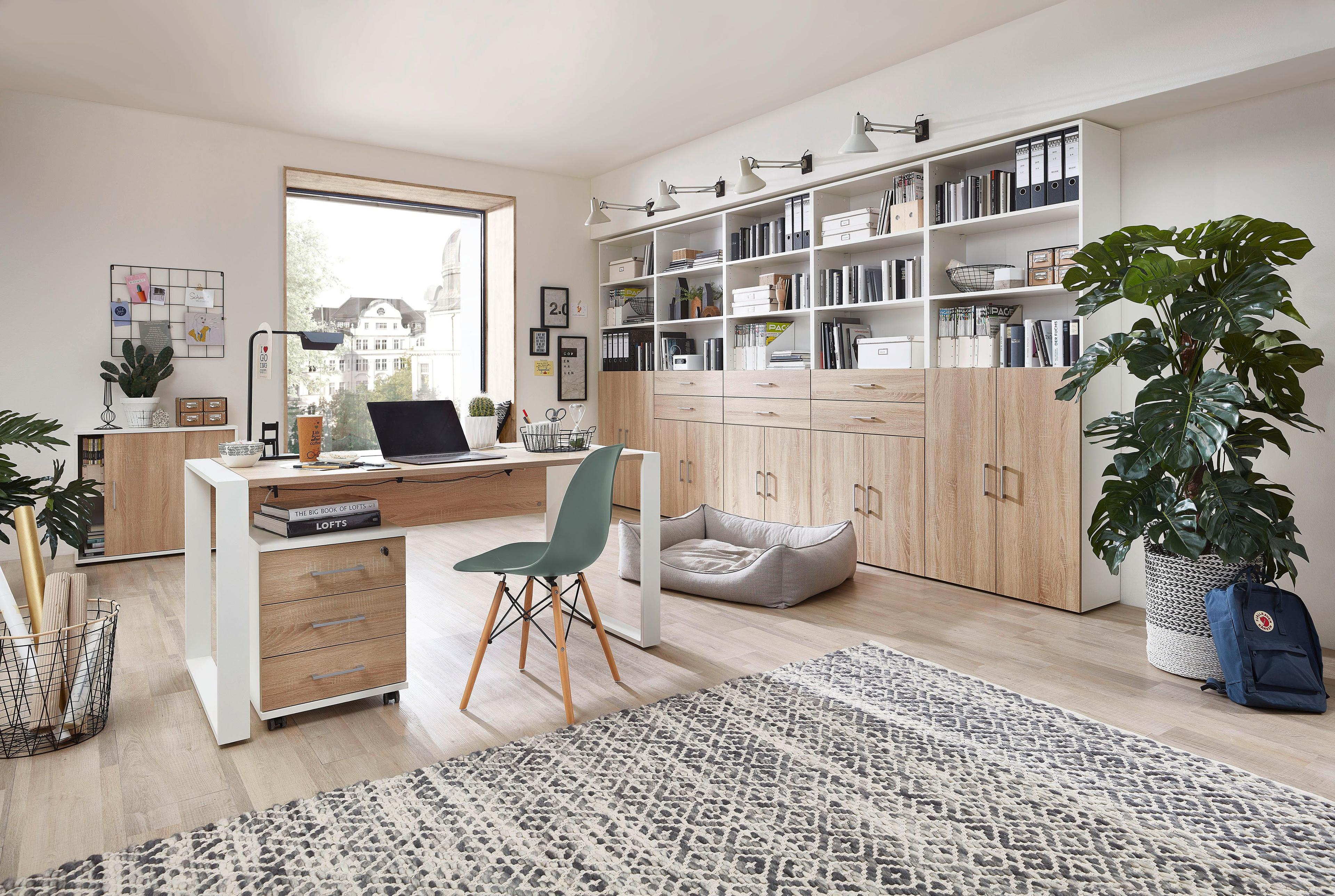 Helles Homeoffice mit großem Regalwand-System, modernem Schreibtisch in Holzoptik, Rollcontainer, Pflanzen und gemütlichem Hundebett.