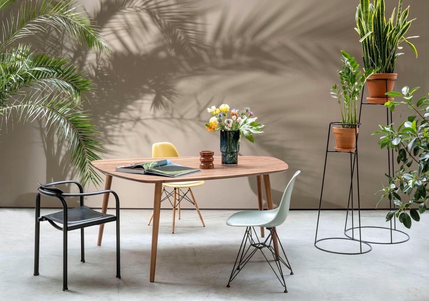 Runder Holztisch mit Designer-Stühlen in verschiedenen Farben, umgeben von tropischen Pflanzen und dramatischen Palmenschatten an der Wand.