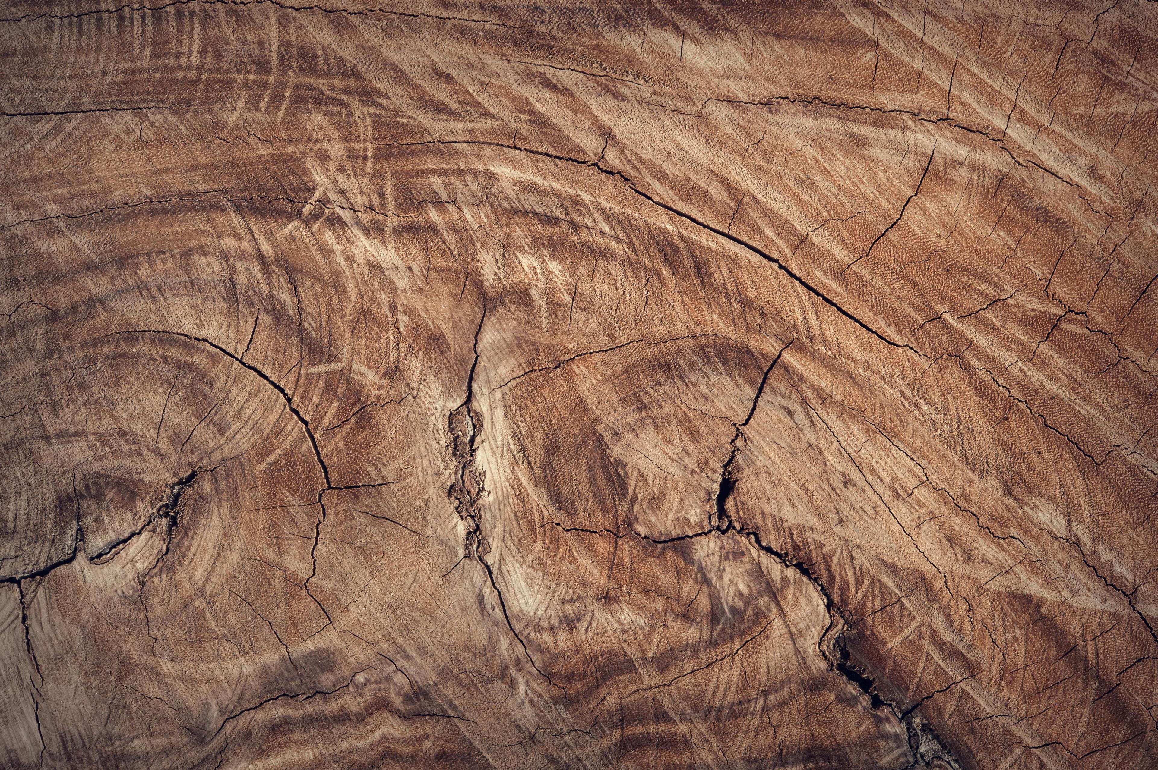 Nahaufnahme von natürlich gealtertem Holz mit ausgeprägter Maserung und charakteristischen Rissen in warmen Brauntönen.